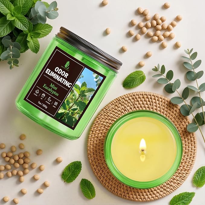 Mint Eucalyptus Odor Eliminating Highly Fragranced Candle, Eliminates 95% of - Image 6
