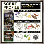 Urban Naturals Car Air Freshener Diffuser 3 Pack - Image 4