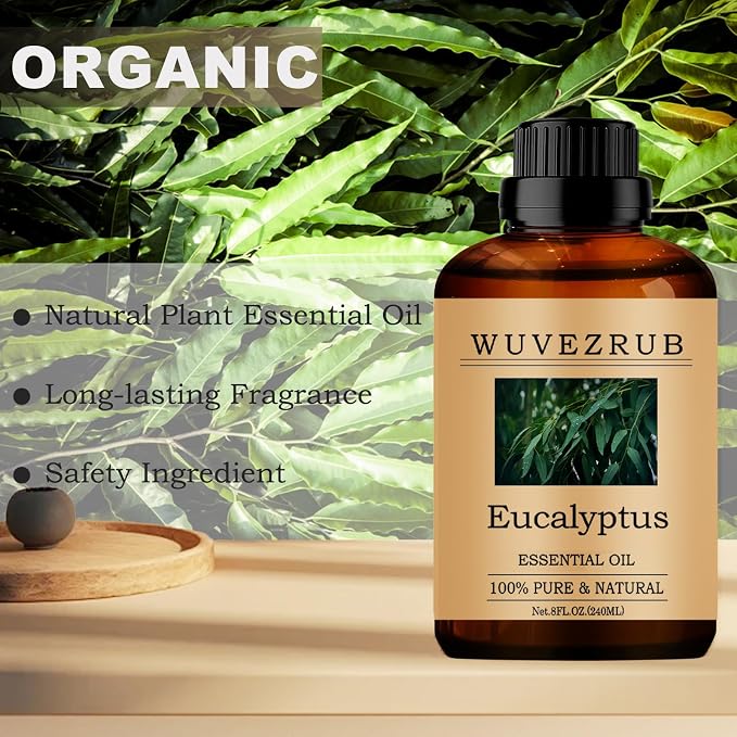 Eucalyptus Essential Oils, 240ML 100% Pure and Natural Essential Oil - Image 4