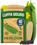 HOME GROWN Luffa Seeds 40 Heirloom Non-GMO Loofah Gourd Seeds by HOMEGROWN
