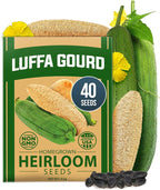 HOME GROWN Luffa Seeds 40 Heirloom Non-GMO Loofah Gourd Seeds by HOMEGROWN