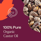 Plant Therapy Organic Castor Oil Roll On 30 mL Convenient Mess-Free Body Oil - Image 7