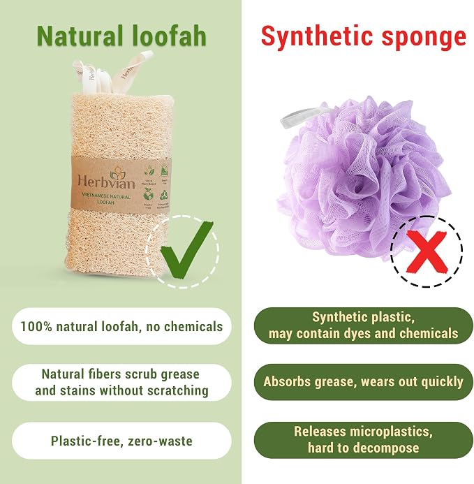 Natural Vietnamese Loofah Sponge, 100% Plant-Based Luffa Exfoliating Body - Image 6