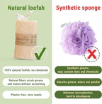 Natural Vietnamese Loofah Sponge, 100% Plant-Based Luffa Exfoliating Body - Image 6