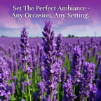 P&J Trading Fragrance Oil | Lavender Oil 100ml - Image 2