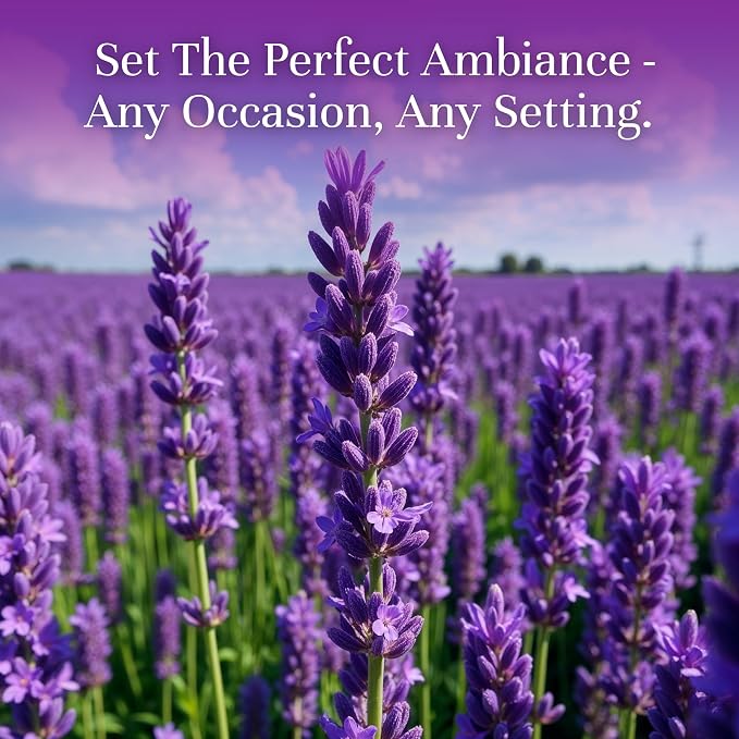 P&J Trading Fragrance Oil | Lavender Oil 100ml - Image 2