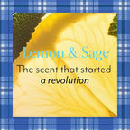 Bliss Gilmore Girls x Lemon & Sage Body Butter | Nourishing All-Over Body Cream - Image 5