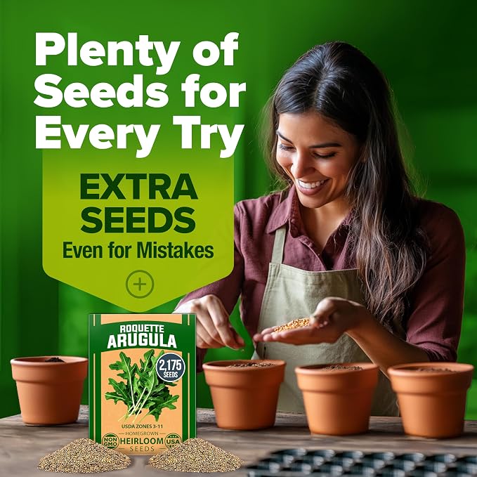 HOME GROWN Arugula Roquette Seeds 2, 175+ Heirloom Non-GMO Seeds - Image 8