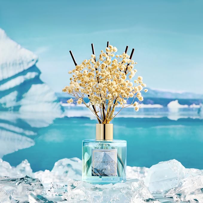COCORRÍNA Reed Diffuser - Image 3
