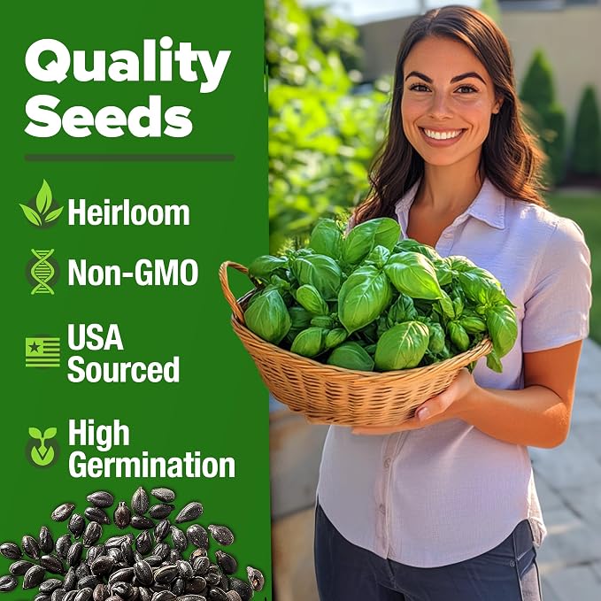 HOME GROWN Genovese Basil Seeds 2 Pack - Image 2