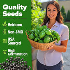 HOME GROWN Non GMO Genovese Basil Seeds Pack 1, 750+ High Germination Heirloom - Image 2