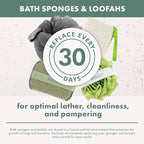 EcoTools Charcoal EcoPouf, Loofah Sponge - Image 11
