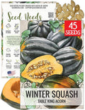 Seed Needs, Table King Acorn Winter Squash Seeds by SeedNeeds