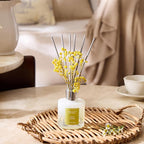 Airkeep Reed Diffuser Set, 6.76 fl oz - Image 2
