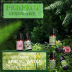 SALKING Spring Fragrance Oils Set, Premium Essential Oils Gift Set - Image 5