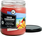 Tropical Fruit Odor Eliminating Highly Fragranced Candle - Image 2