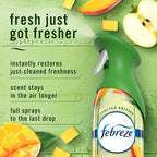 Febreze Air Mist, Air Freshener, Odor Fighting Room Spray, Deodorizer - Image 3
