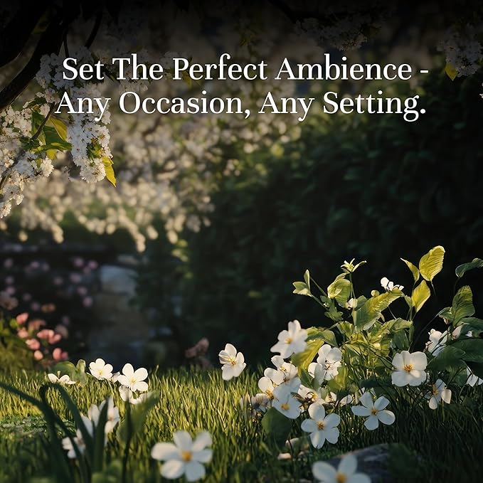 P&J Trading Spring Set of 14 Fragrance Oils - Image 2