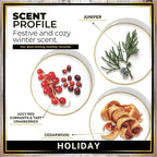 Urban Naturals Car Air Freshener Holiday Scent Diffuser, Long Lasting Car Scent - Image 4