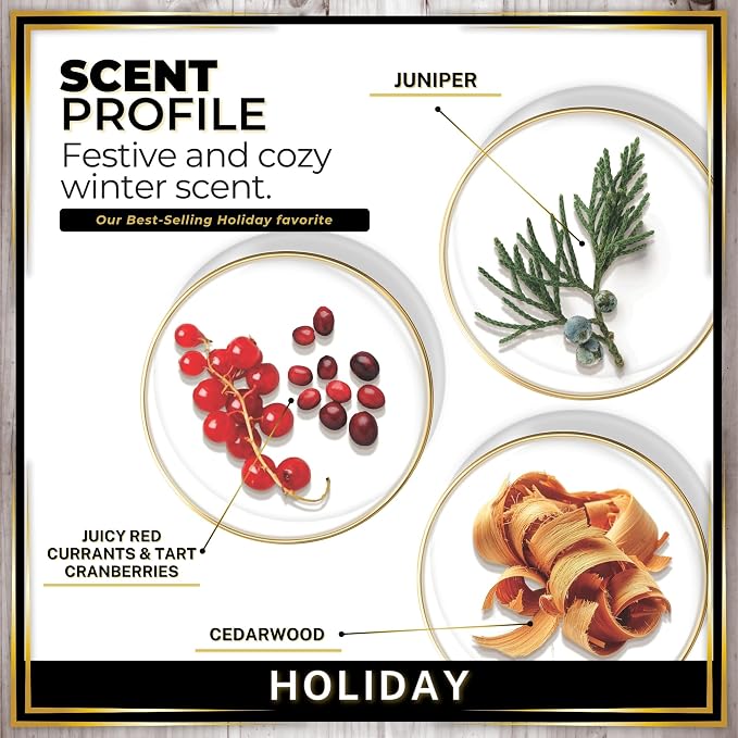 Urban Naturals Car Air Freshener Holiday Scent Diffuser, Long Lasting Car Scent - Image 4