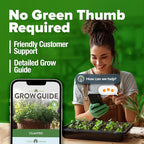 HOME GROWN 1000+ Cilantro Seeds - Image 9