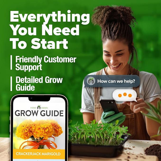 HOME GROWN Marigold Seeds Bulk Mix - Image 8