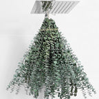 30 Pcs Dried Eucalyptus Stems 17" Real Eucalyptus by FAVOWREATH