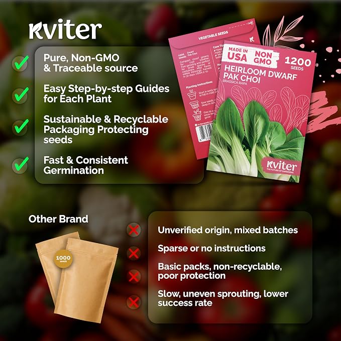KVITER 1, 200 Baby Bok Choy Seeds - Image 5
