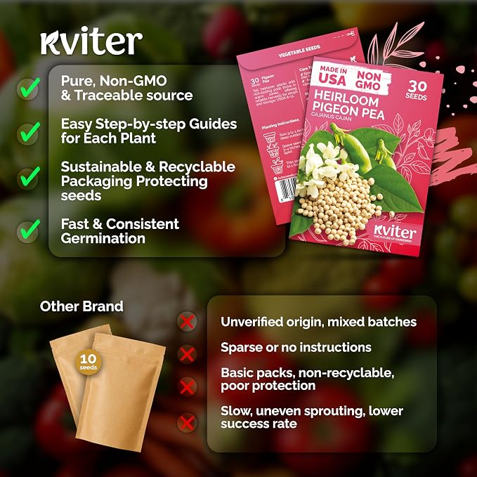 KVITER 30 Guandules Pigeon Peas Seeds - Image 5