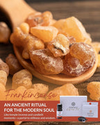 Essence Wearable Aromatherapy Nasal Diffuser – Frankincense Essential Oil Nose - Image 3
