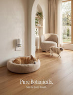 Essential Oil Diffuser for Home, Smart Waterless Aromatherapy Diffuser SF101S - Image 9