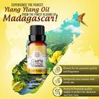 GuruNanda Ylang Ylang Essential Oil - Image 3