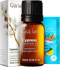 100% Pure Cypress Essential Oil by GyaLabs