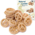 Natural Loofah Slices Cuts for Soap Making-20 Pack Organic Luffa Loofa Sponges by Unknown