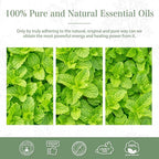 Peppermint Essential Oil, 1.01Fl.Oz PHATOIL Pure Essential Oil Singles - Image 6