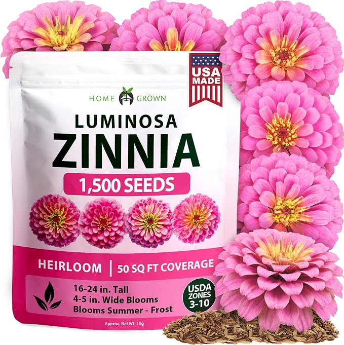 HOME GROWN Pink Zinnia Seeds – 1500 Luminosa Zinnias, Fast Blooming, Heat by HOMEGROWN
