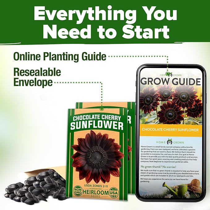 HOME GROWN Chocolate Cherry Sunflower Seeds – 150 Heirloom Non-GMO Seeds – - Image 8