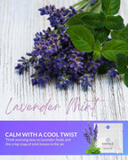 Essence Wearable Aromatherapy Nasal Diffuser – Lavender Mint Essential Oil Nose - Image 3