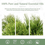 Tea Tree 3.38fl.oz Essential Oil, PHATOIL Pure Aromatherapy Oils - Image 7