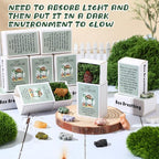 DoubleFill 24 Set Office Positive Gifts - Image 3