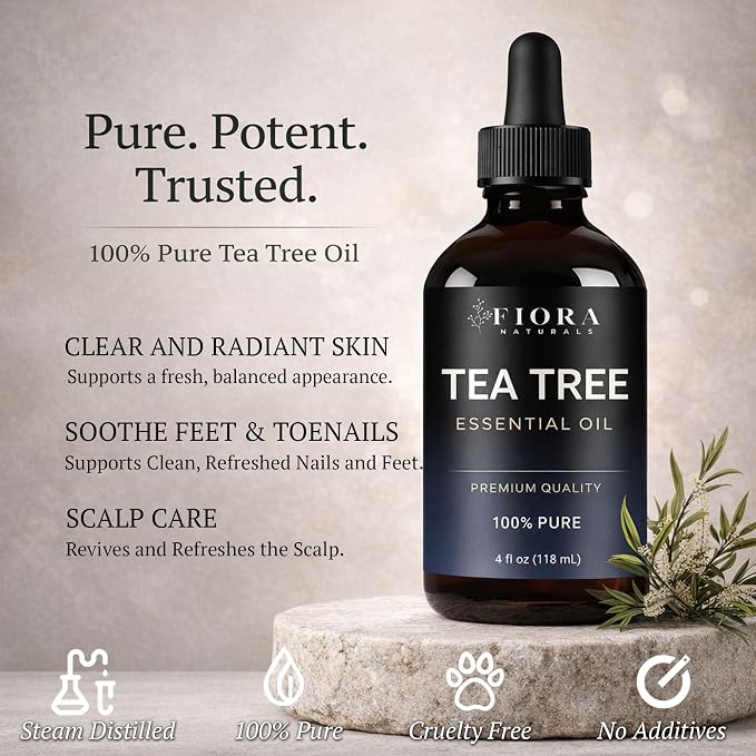 Fiora Naturals Tea Tree Oil 4 Fl Oz – 100% Pure Tea Tree Essential Oil - Image 2