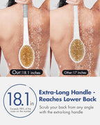 Back Scrubber Body Shower Brush: Anti Slip Long Handle Bath Brush - Image 2