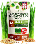 HOME GROWN Hard Red Winter Wheatgrass Seeds 12, 000+ Bulk 1.5 lb Heirloom by HOMEGROWN