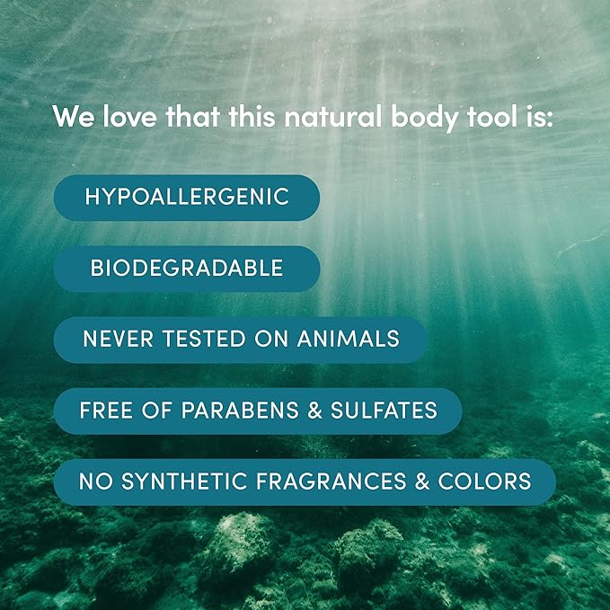 LATHER - Natural Sea Wool Sponge, 5-6" - Organic Exfoliating Body Scrubber - - Image 6