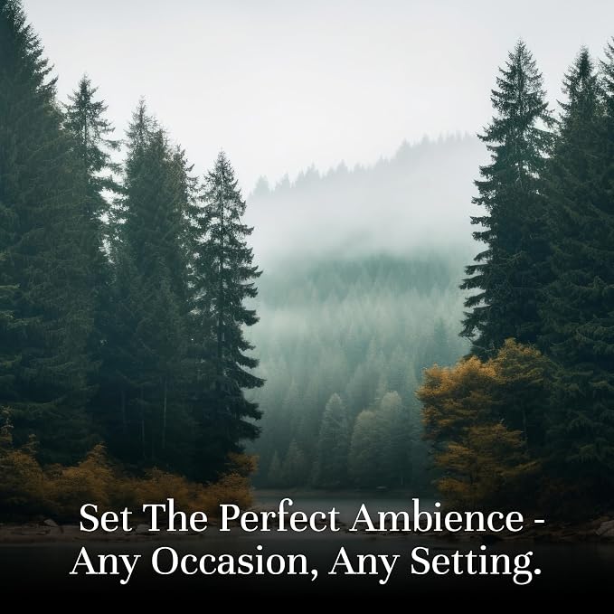 P&J Trading Fragrance Oil Favorite Set | Candle Scents - Image 2