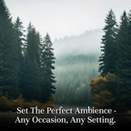P&J Trading Fragrance Oil Favorite Set | Candle Scents - Image 2