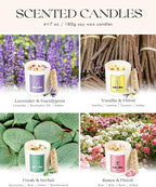 AOOVOO Rose/Vanilla/Eucalyptus/Lavender Scented Candles - Image 5