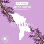 Handcraft Blends Clary Sage Essential Oil – 1 Fl Oz – 100% Pure and Natural – - Image 8