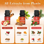 ASAKUKI Essential Oils for Diffusers for Home, Fragrance Oil for Candle Making - Image 3