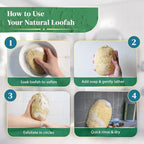 Natural Loofah Exfoliating Body Scrubber - Image 8